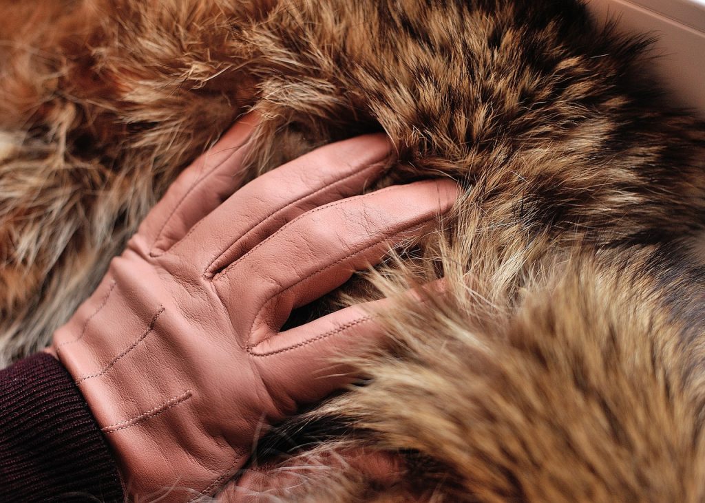 fur glove